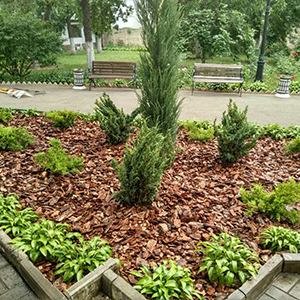 Хвойная мульча в Перми купить - оперативная доставка по всей России