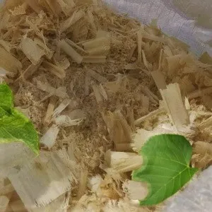 Лиственные опилки оптом в Перми от завода-производителя Лигнум Ресурс