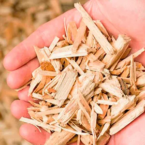 Сосновая щепа оптом в Перми от завода-производителя Лигнум Ресурс