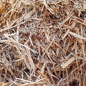 Щепа для арболита оптом в Перми и других различных марок заказать от 16 тонн